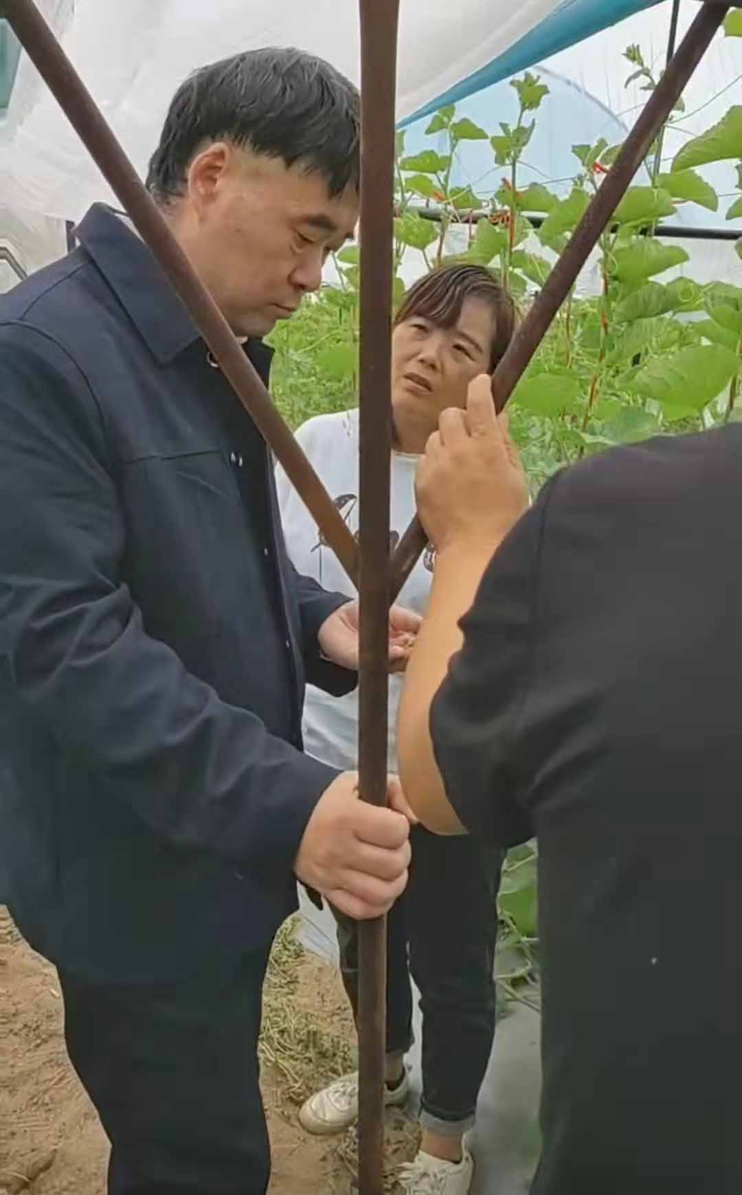 深入田間地頭，為農(nóng)戶解決問(wèn)題