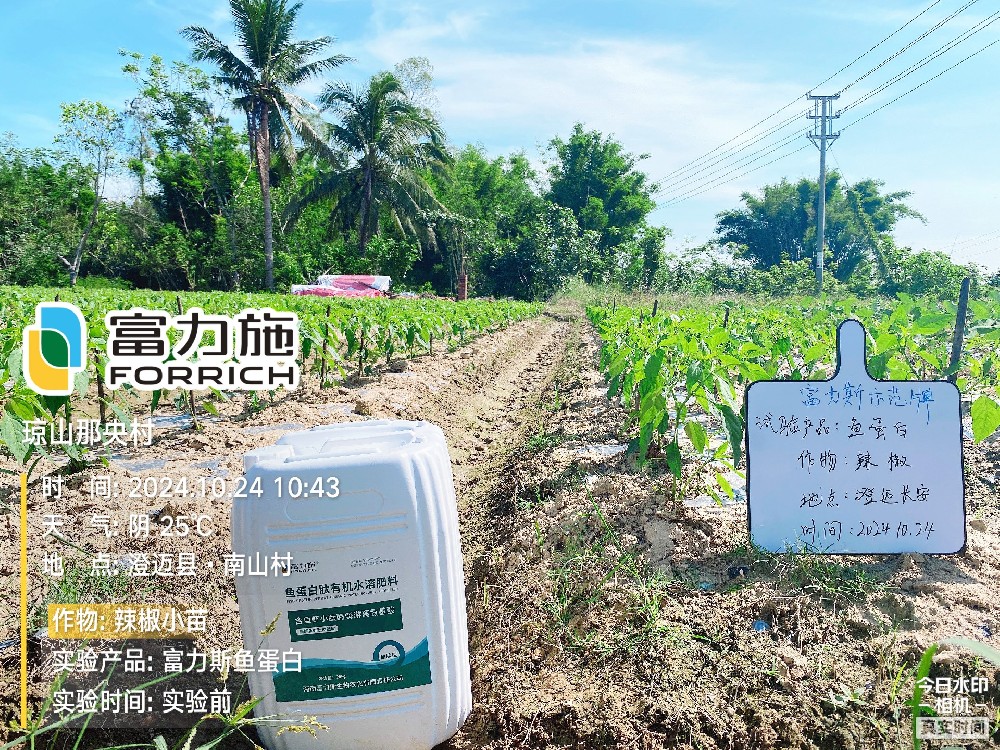 魚蛋白肽有機(jī)水溶肥試驗(yàn)示范情況